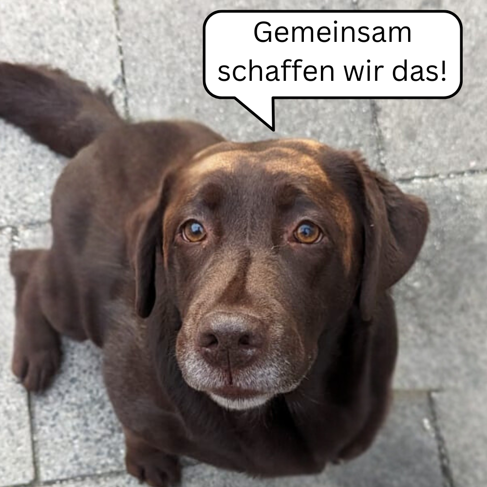 Gemeinsam schaffen wir das!